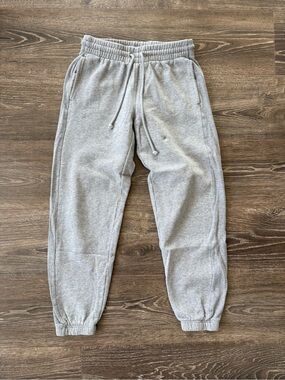 Aritzia TNA CozyAF fleece Jogger Sweatpants